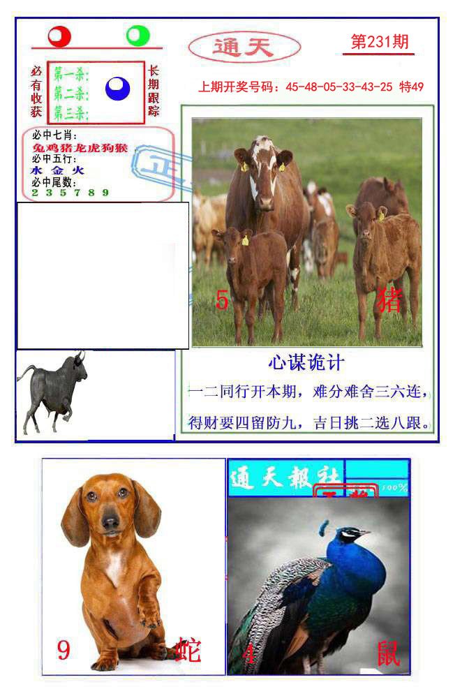 2024231期通天杀波图2