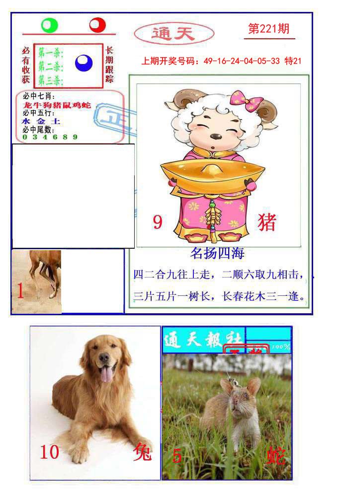 2024221期通天杀波图2