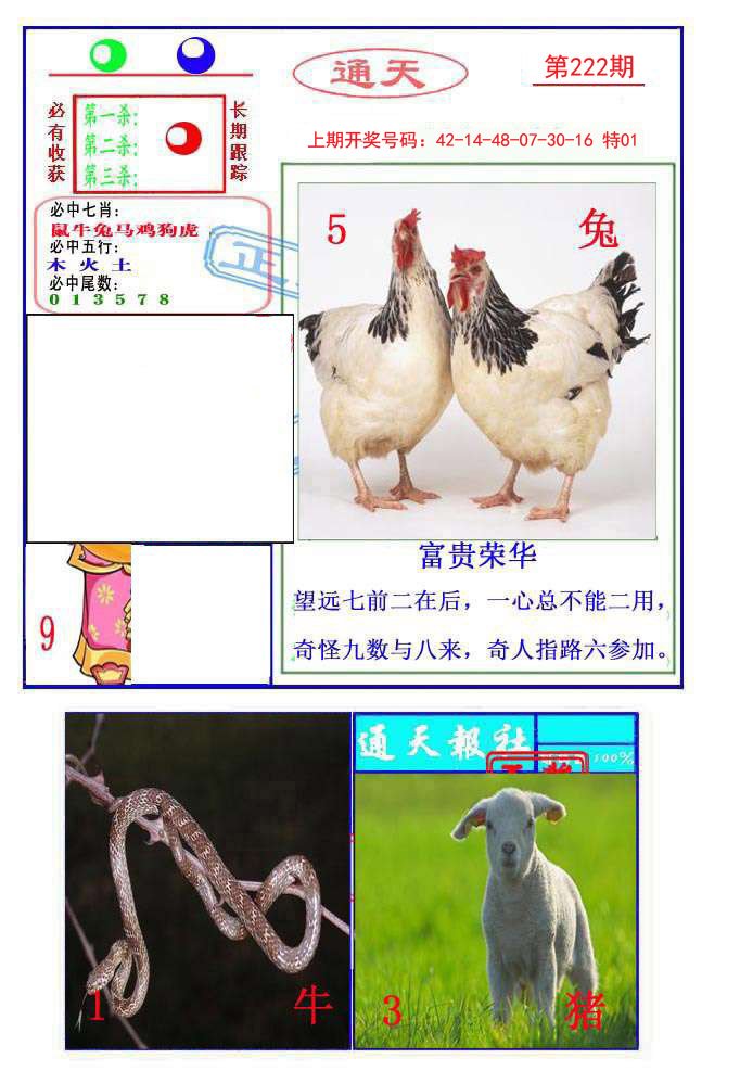 2024222期通天杀波图2