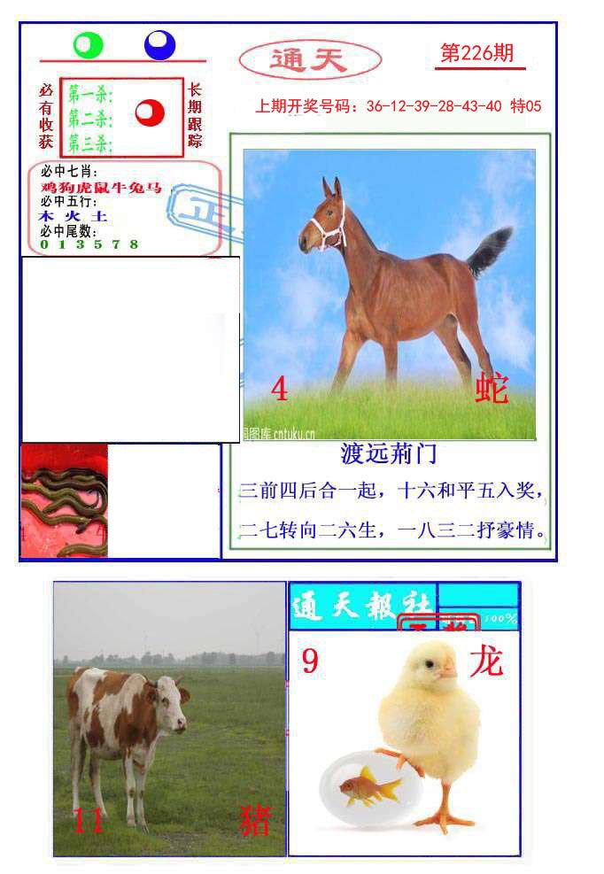 2024226期通天杀波图2