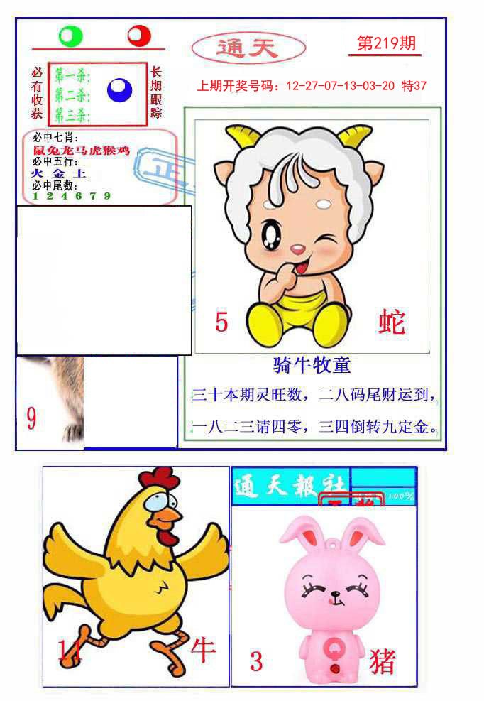 2024219期通天杀波图2