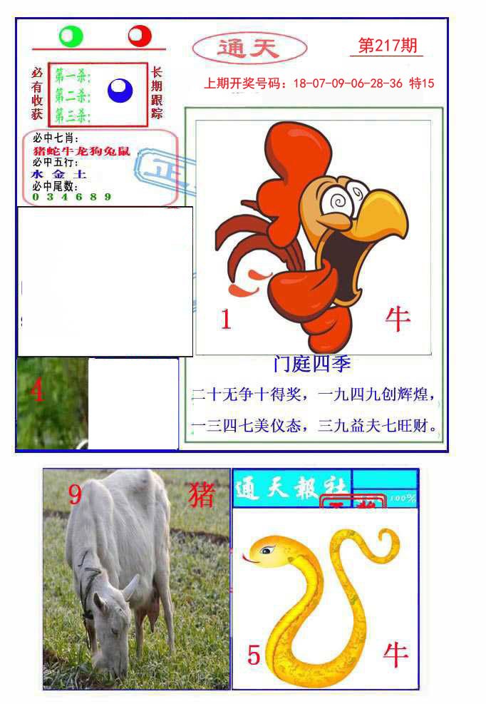 2024217期通天杀波图2