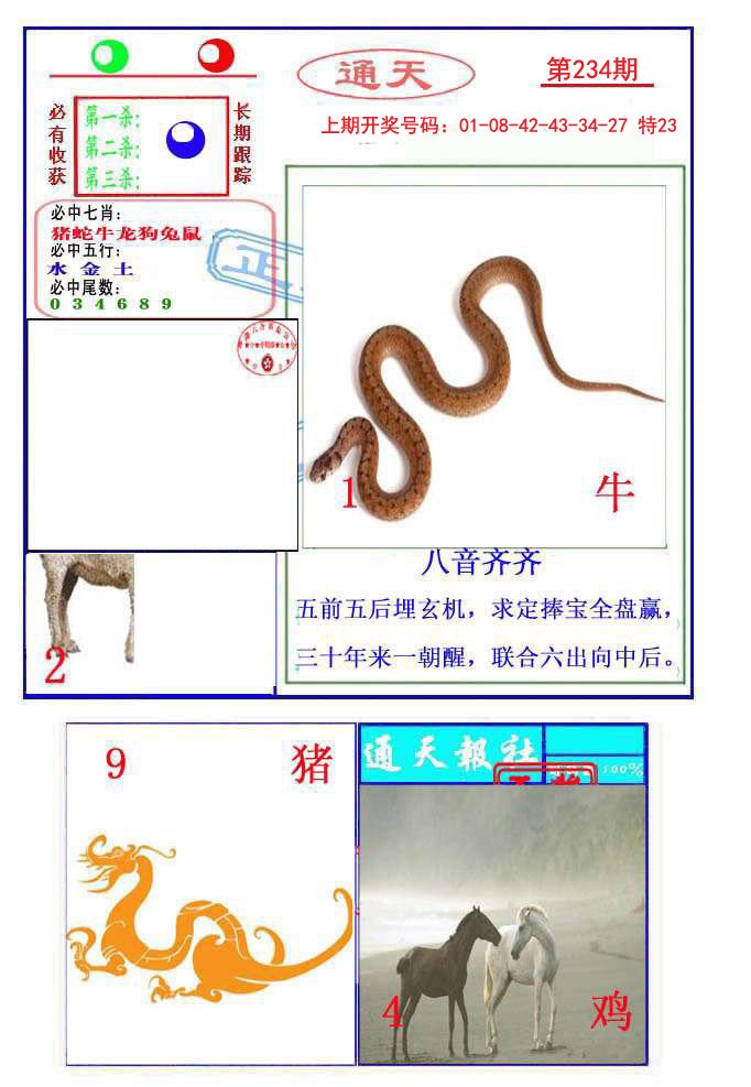 2024234期通天杀波图2