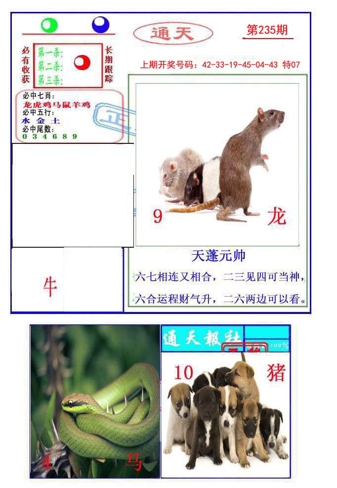 2024235期通天杀波图2