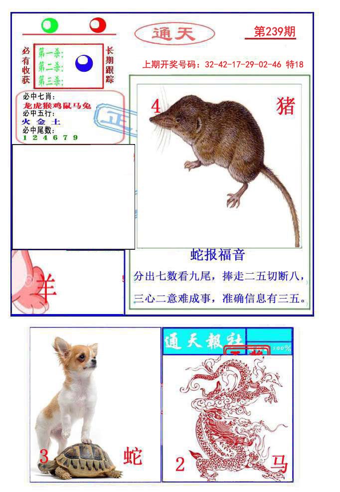 2024239期通天杀波图2
