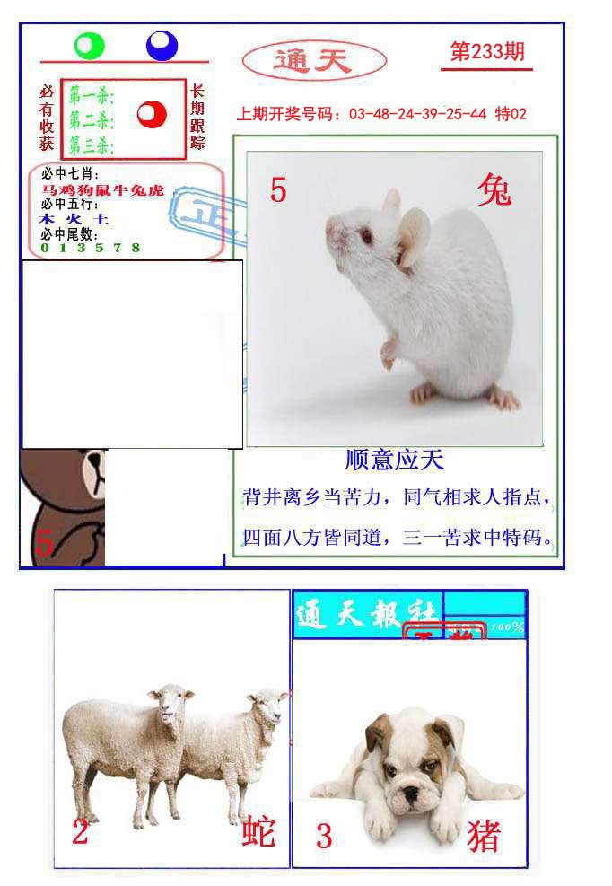 2024233期通天杀波图2
