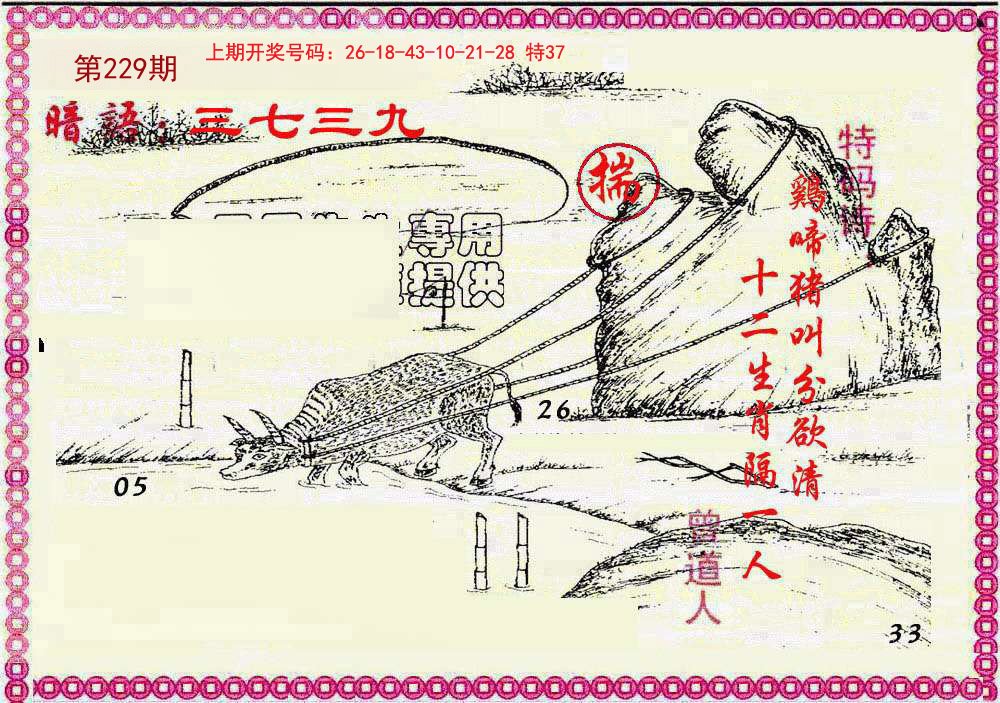 2024229期新暗语报