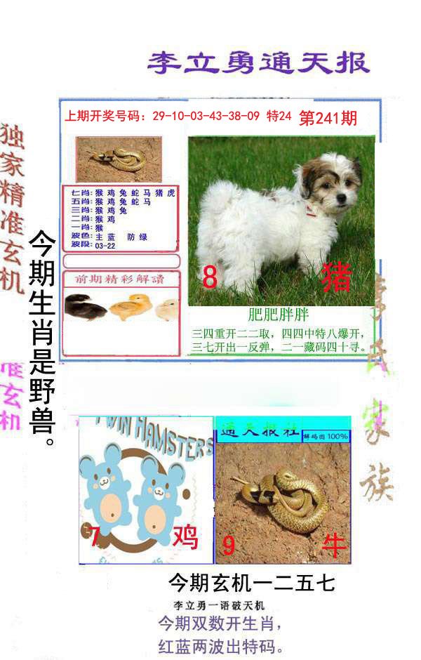 2024241期李立勇通天报