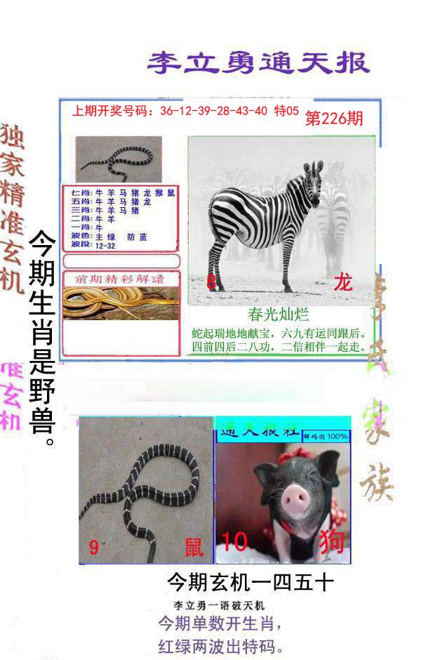2024226期李立勇通天报