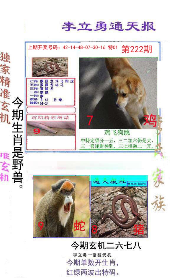 2024222期李立勇通天报
