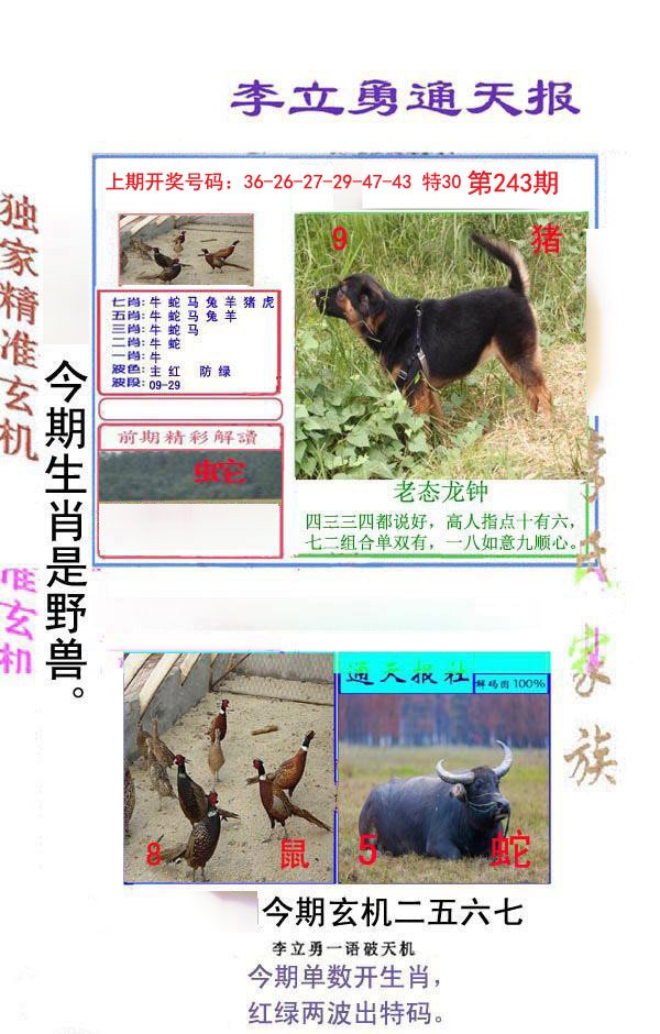 2024243期李立勇通天报