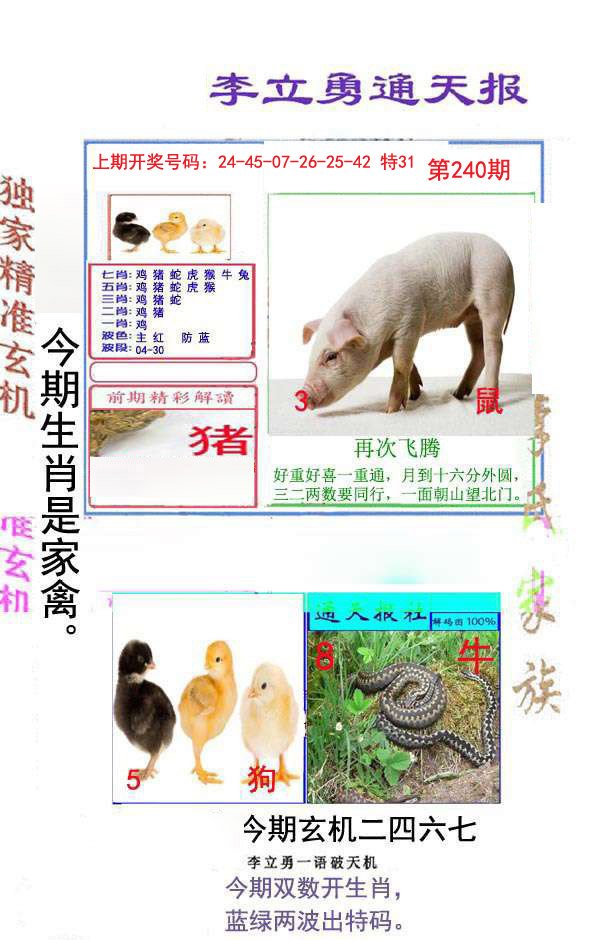 2024240期李立勇通天报