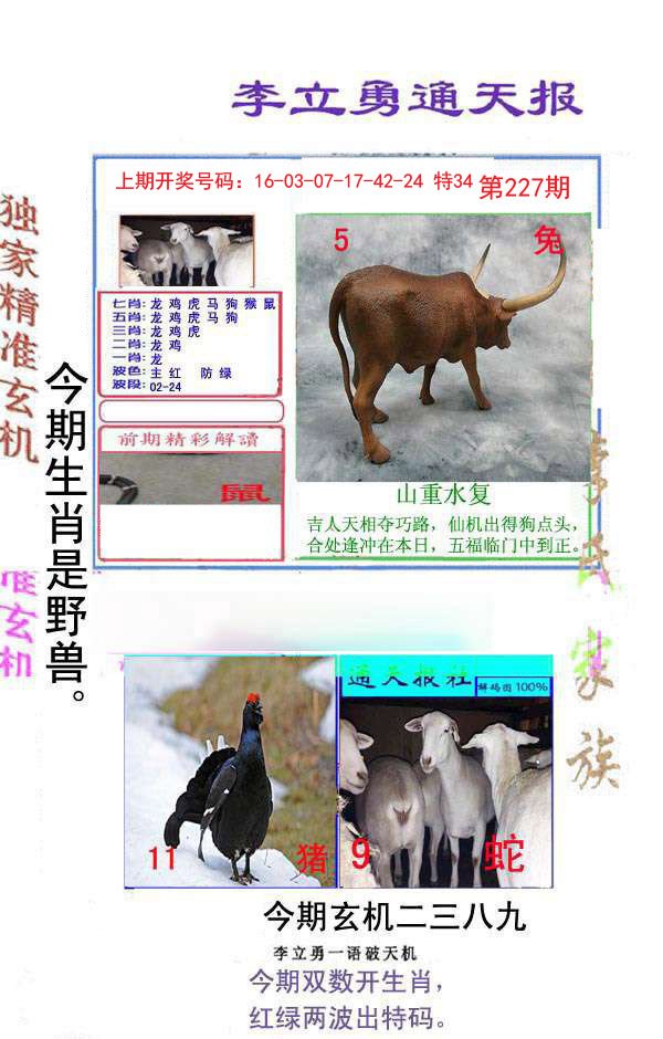 2024227期李立勇通天报