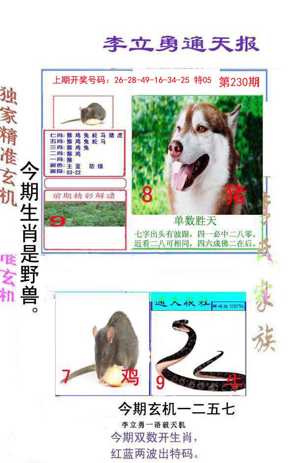 2024230期李立勇通天报