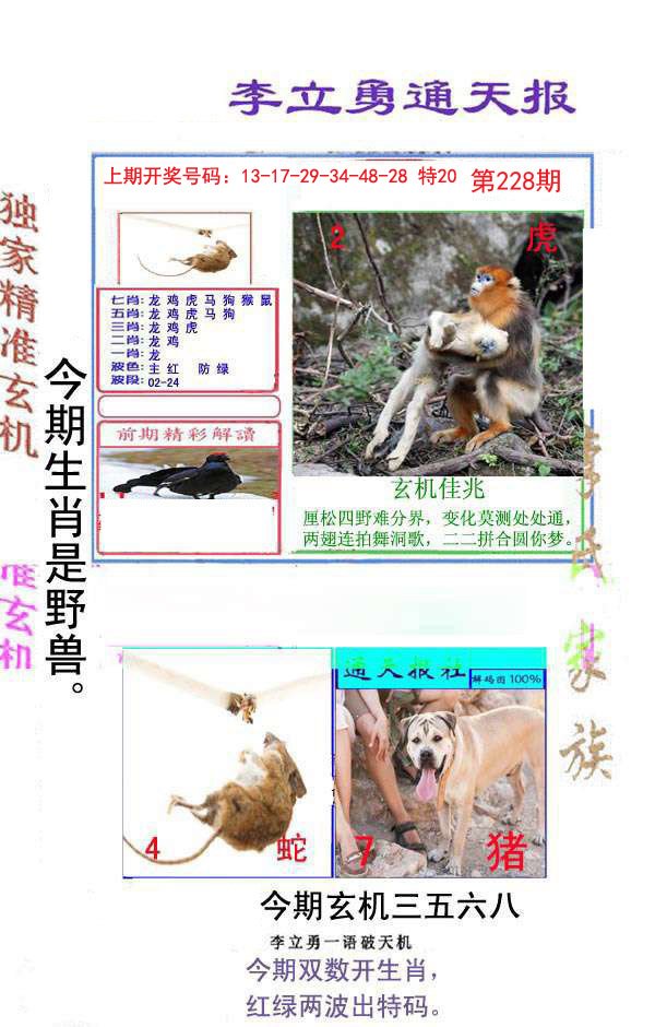 2024228期李立勇通天报