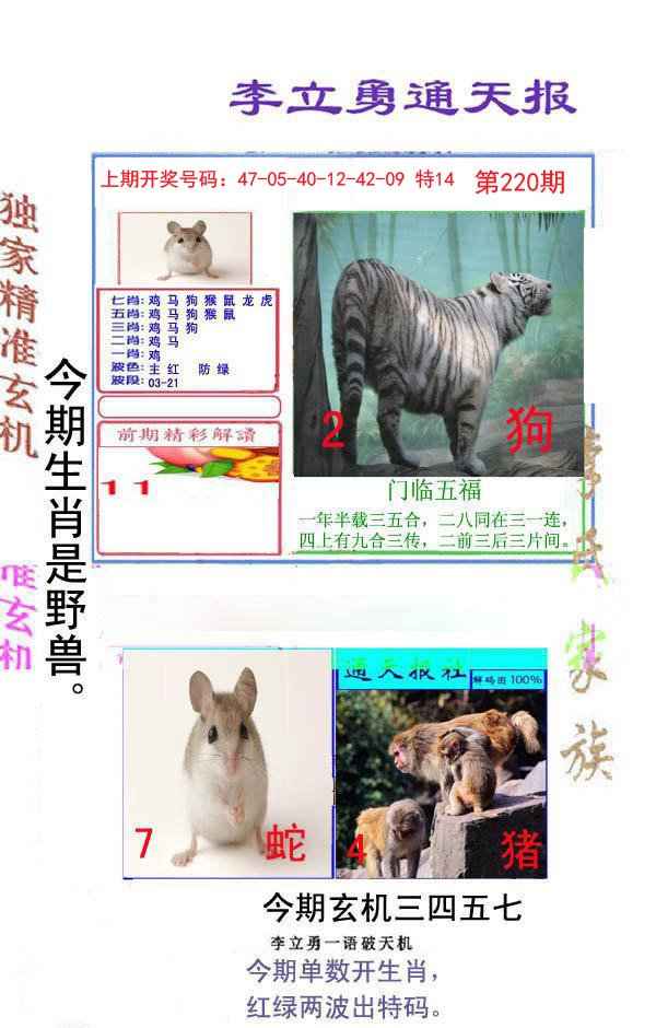 2024220期李立勇通天报