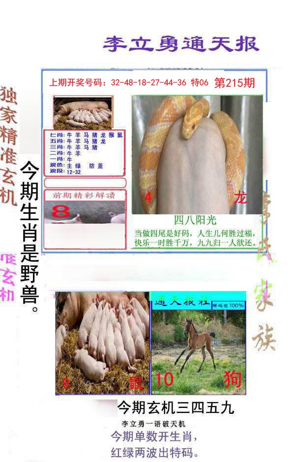 2024215期李立勇通天报