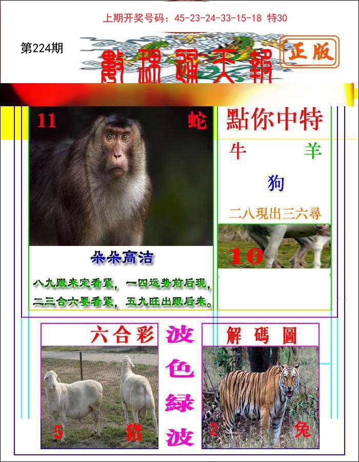 2024224期数理通天