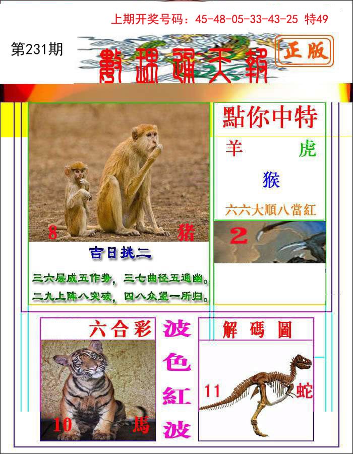 2024231期数理通天