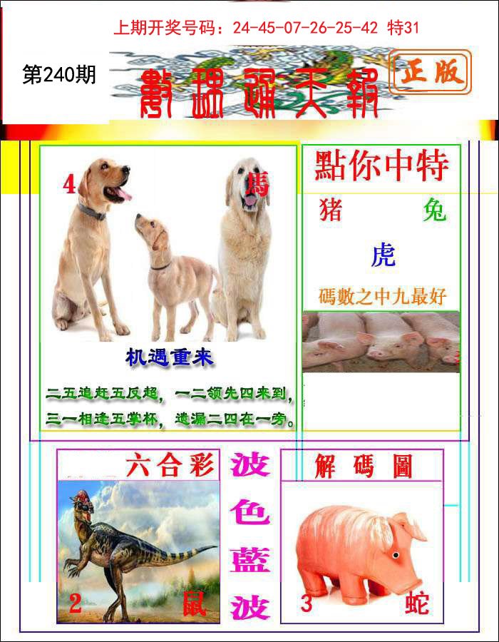 2024240期数理通天