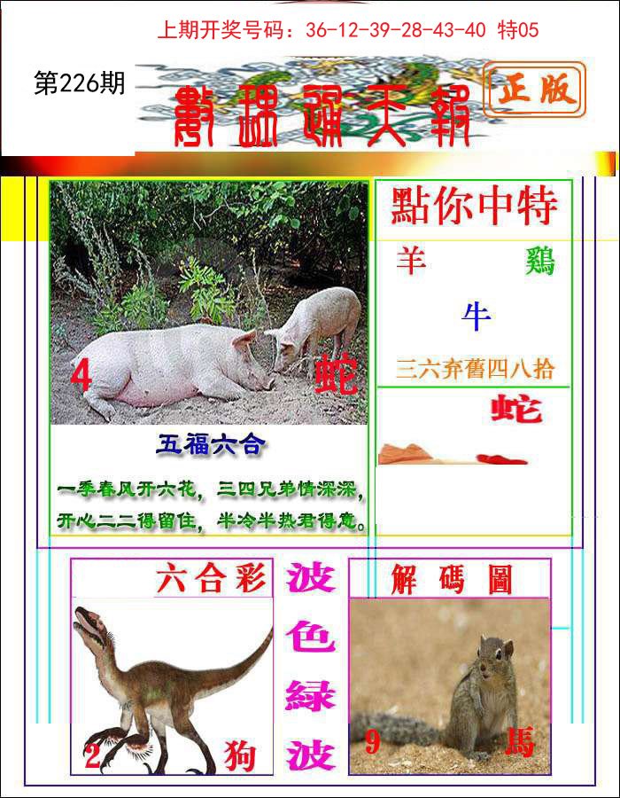 2024226期数理通天