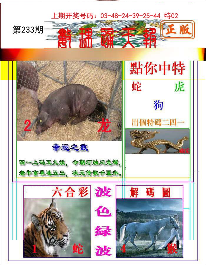 2024233期数理通天