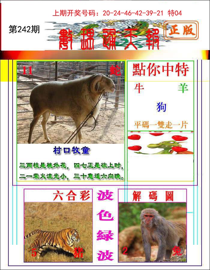 2024242期数理通天
