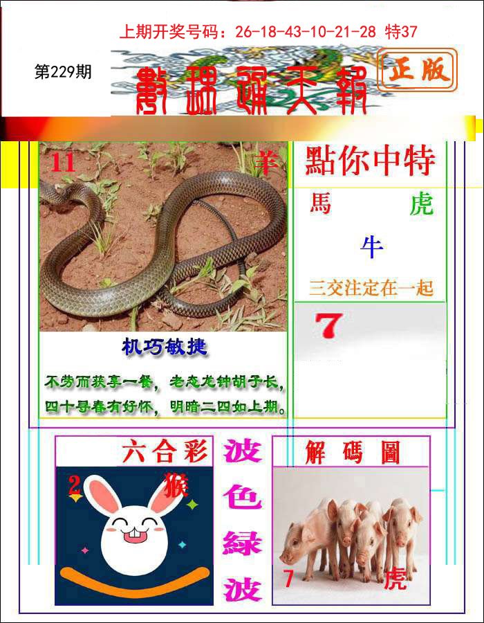 2024229期数理通天