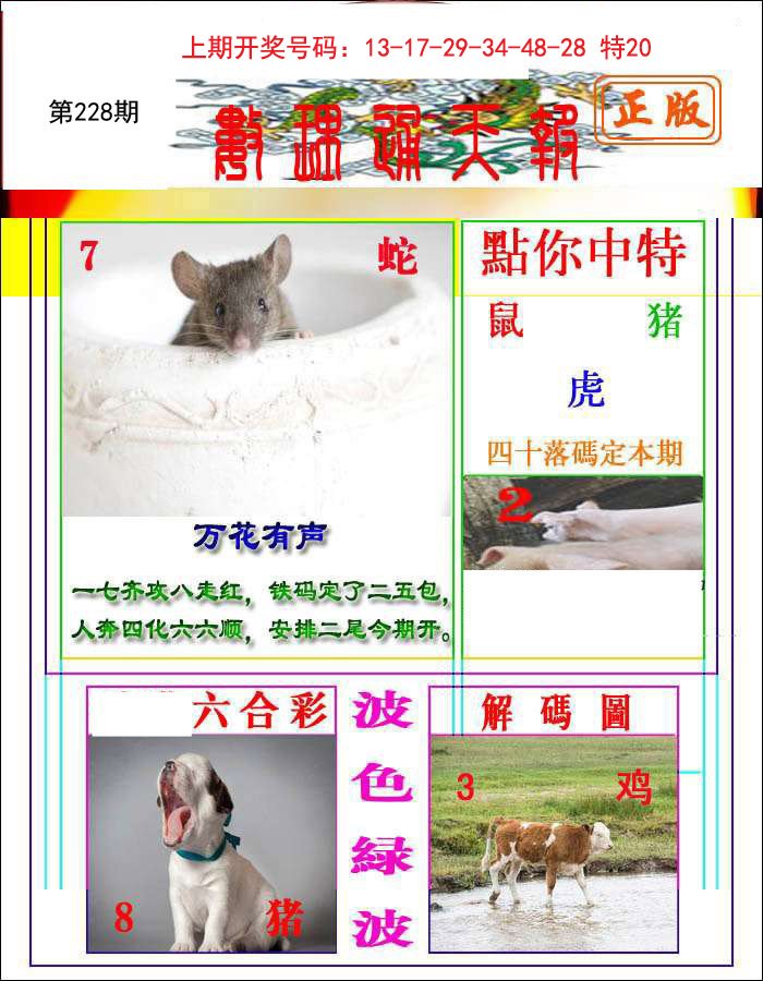 2024228期数理通天