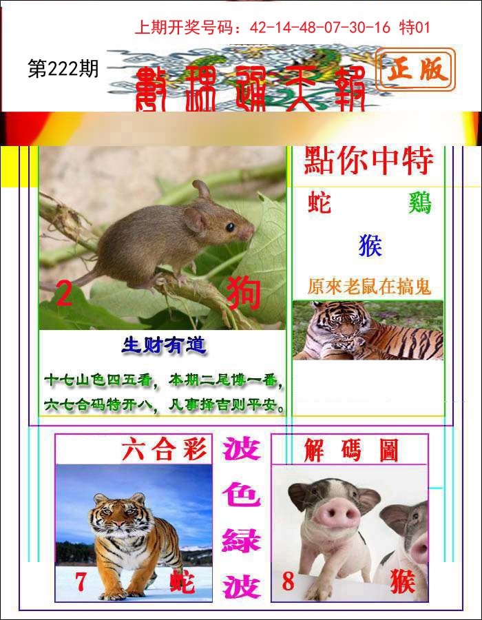 2024222期数理通天