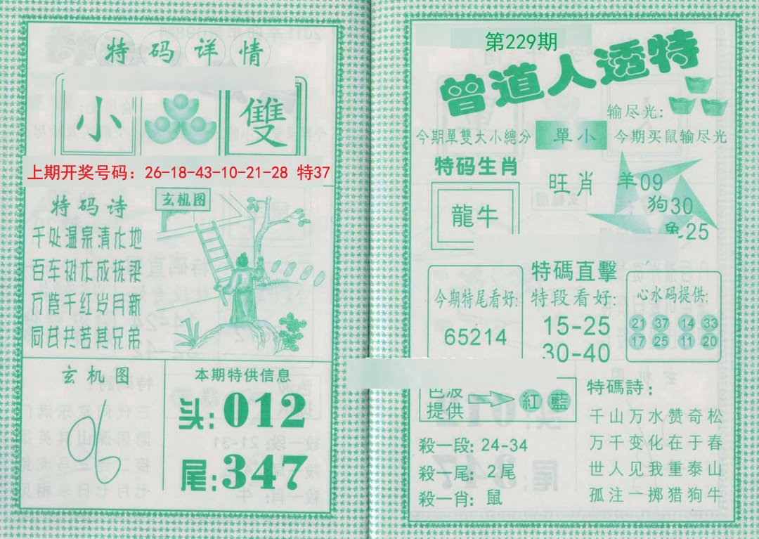 2024229期曾道人透特
