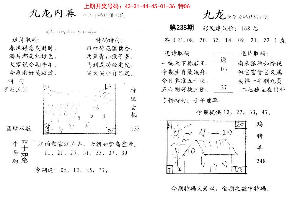 2024238期九龙内幕