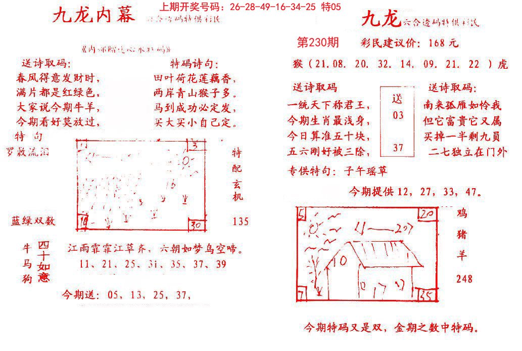 2024230期九龙内幕