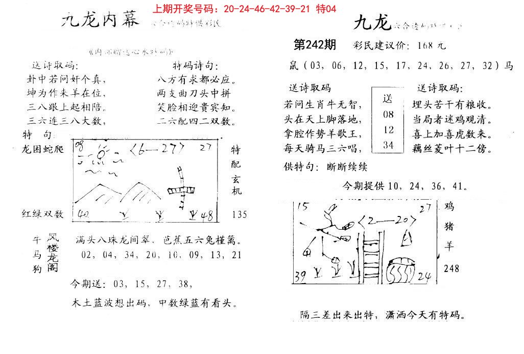 2024242期九龙内幕