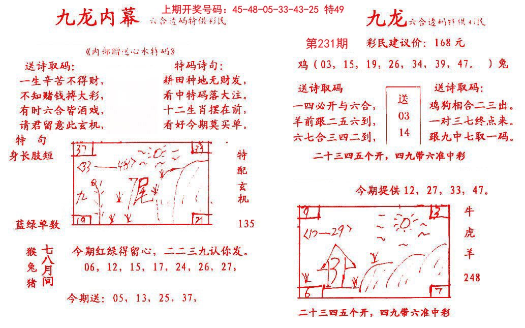 2024231期九龙内幕