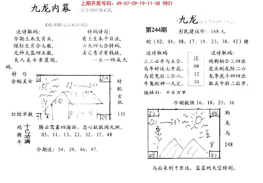 2024244期九龙内幕