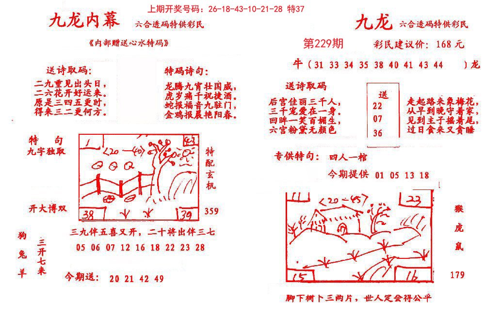 2024229期九龙内幕