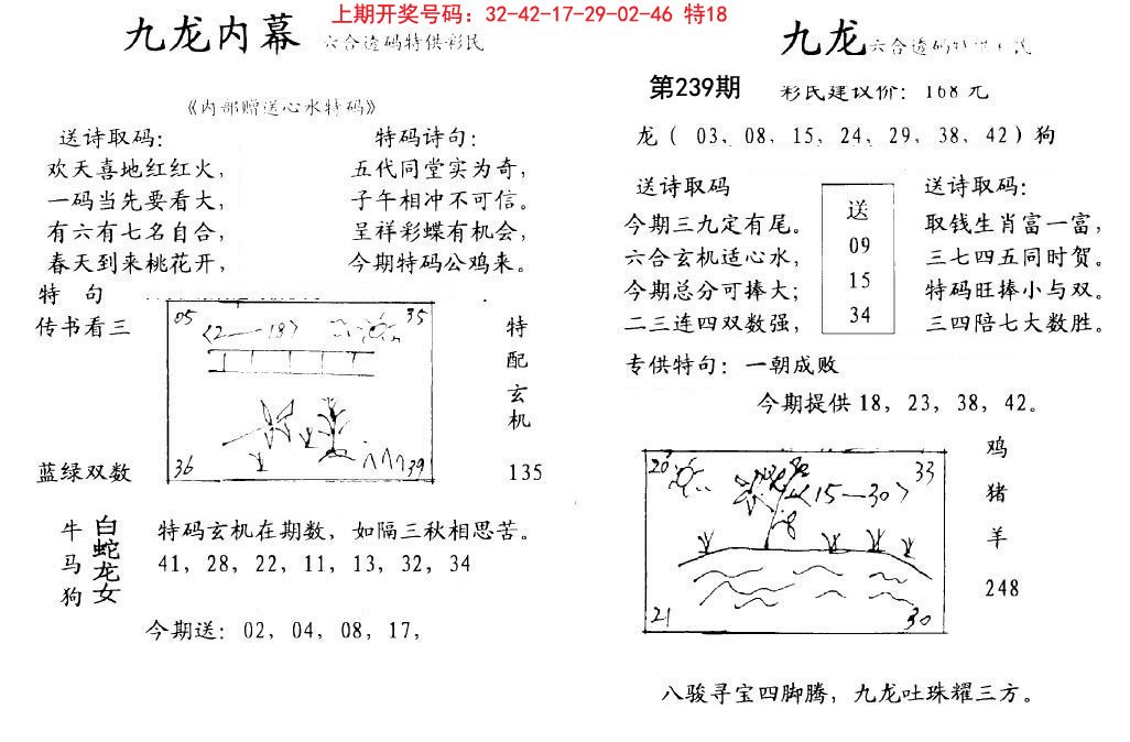 2024239期九龙内幕