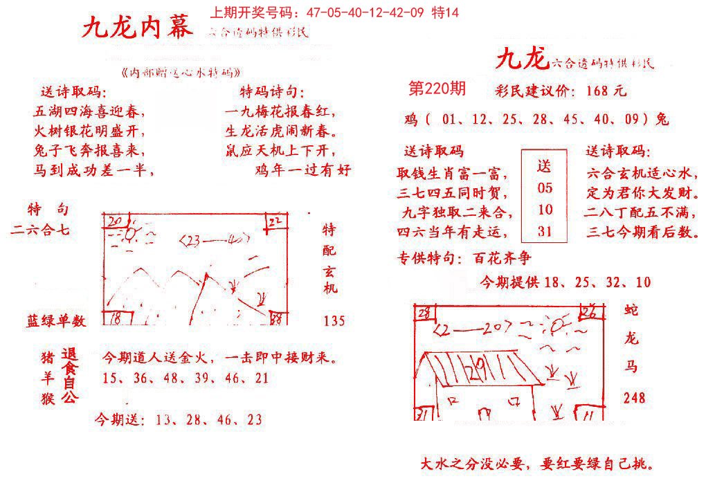 2024220期九龙内幕