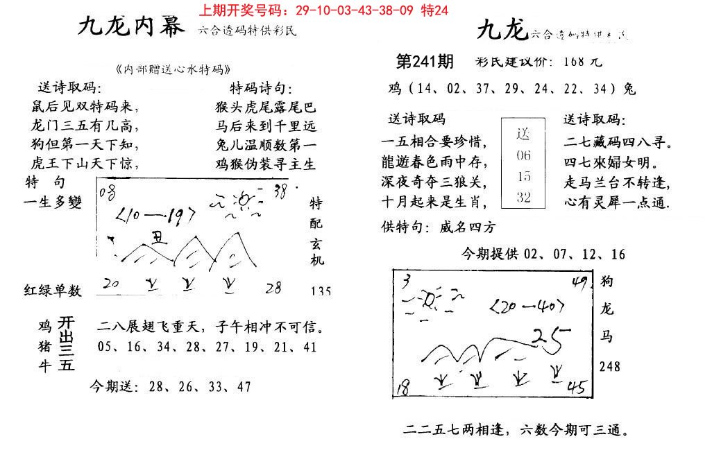 2024241期九龙内幕