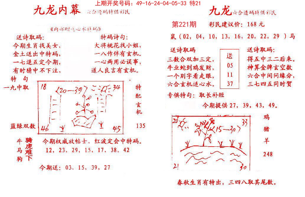 2024221期九龙内幕