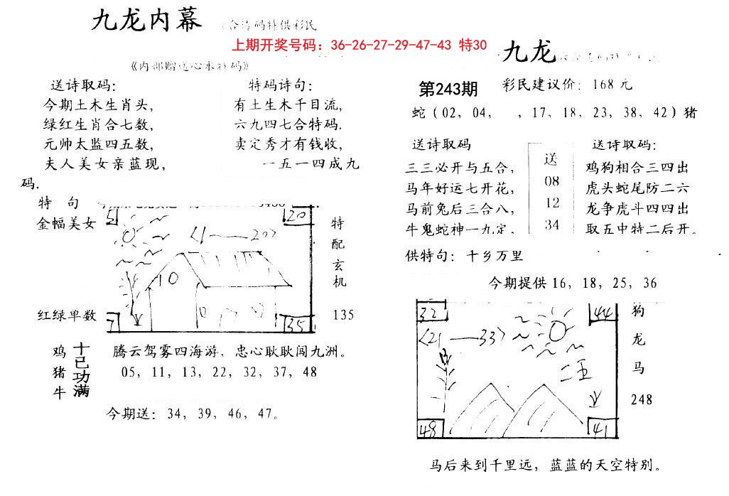 2024243期九龙内幕