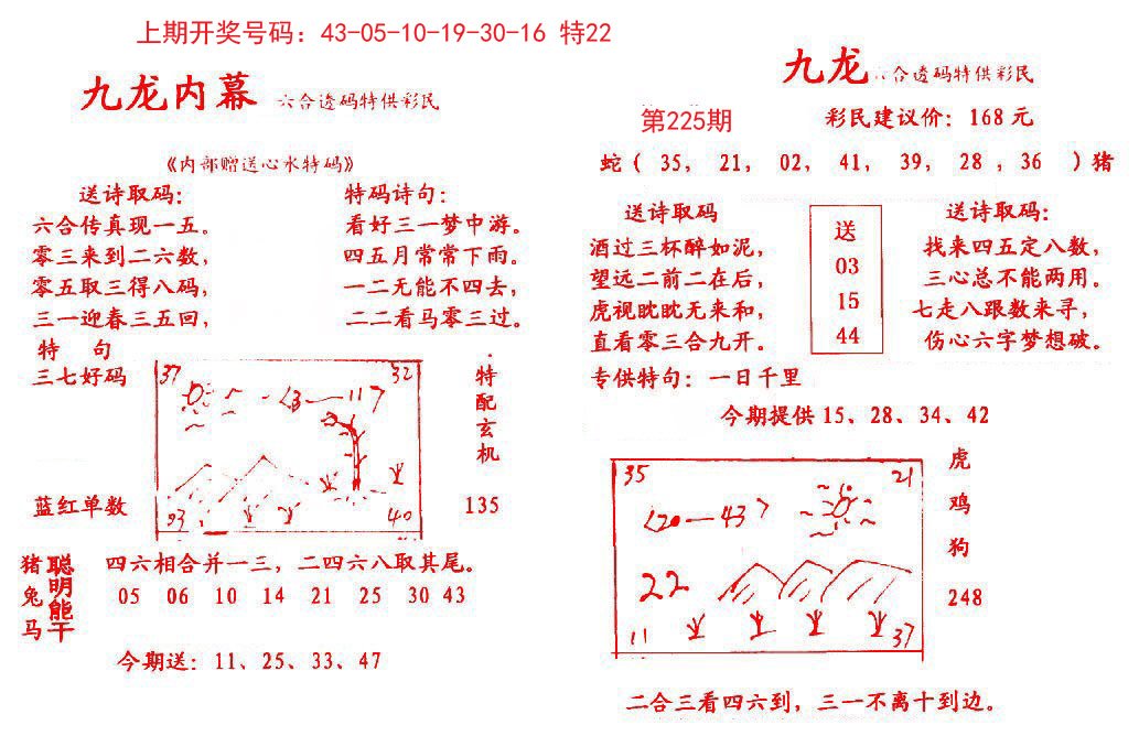 2024225期九龙内幕