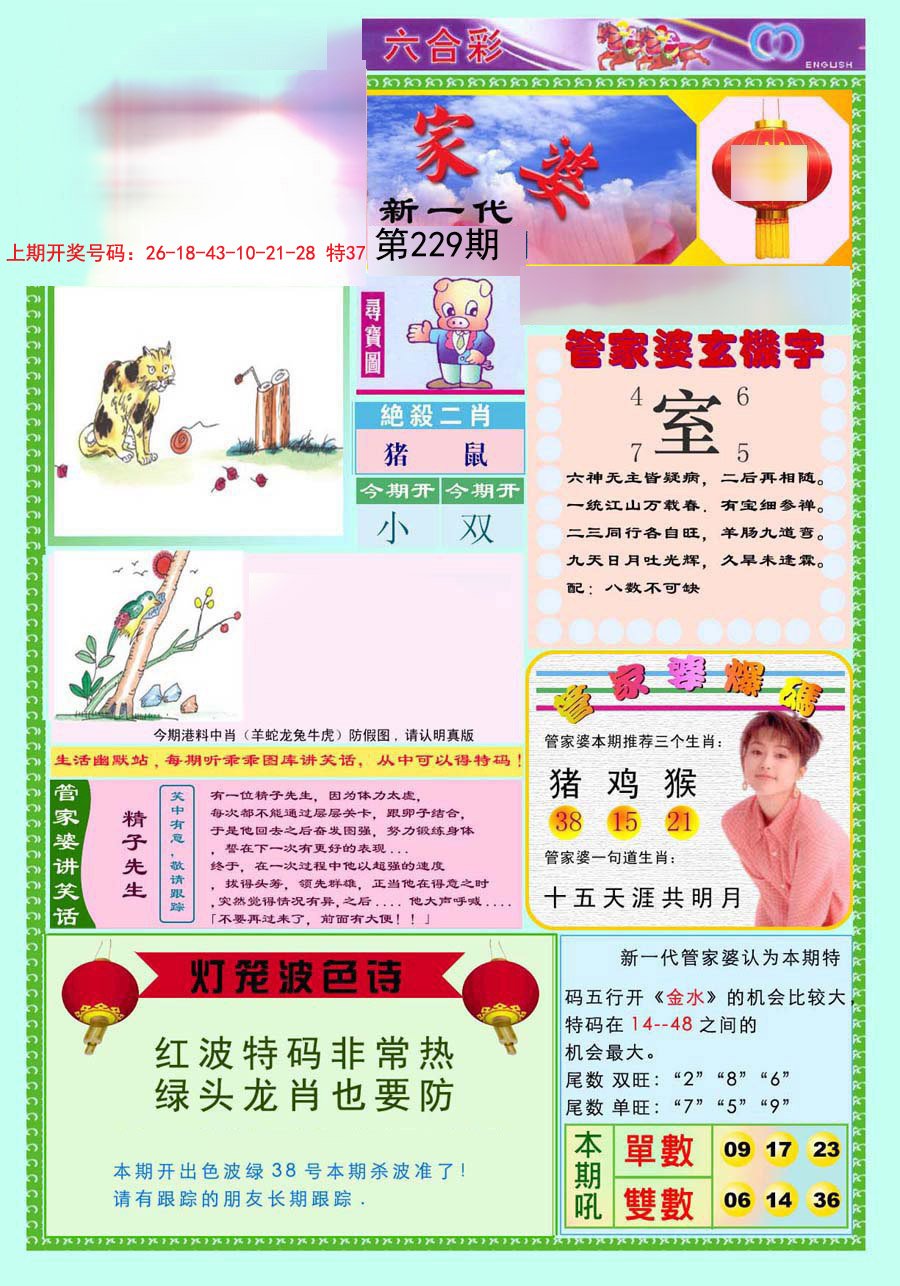 2024229期新一代管家婆