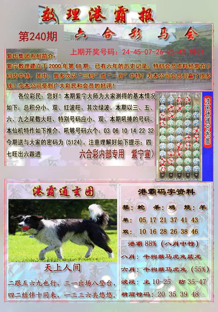 2024240期港霸报