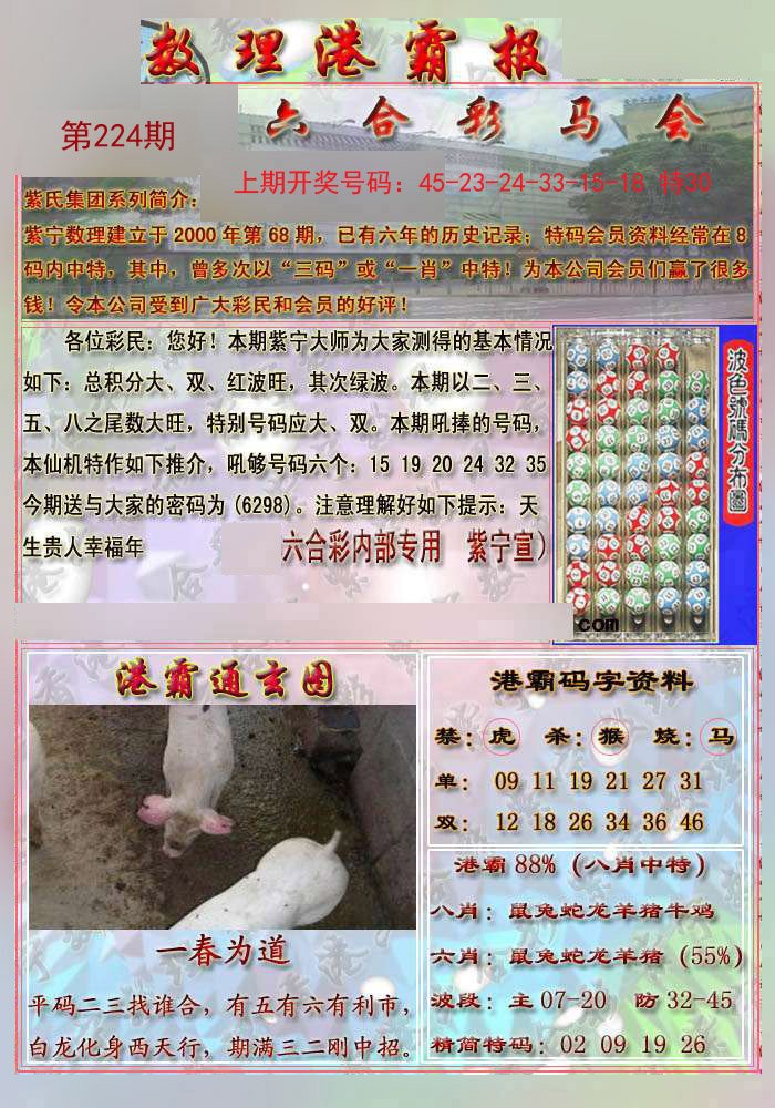 2024224期港霸报