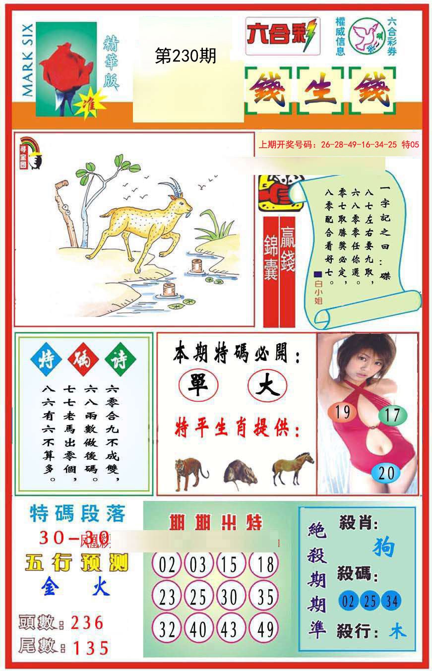 2024230期九龍钱生钱(推荐)