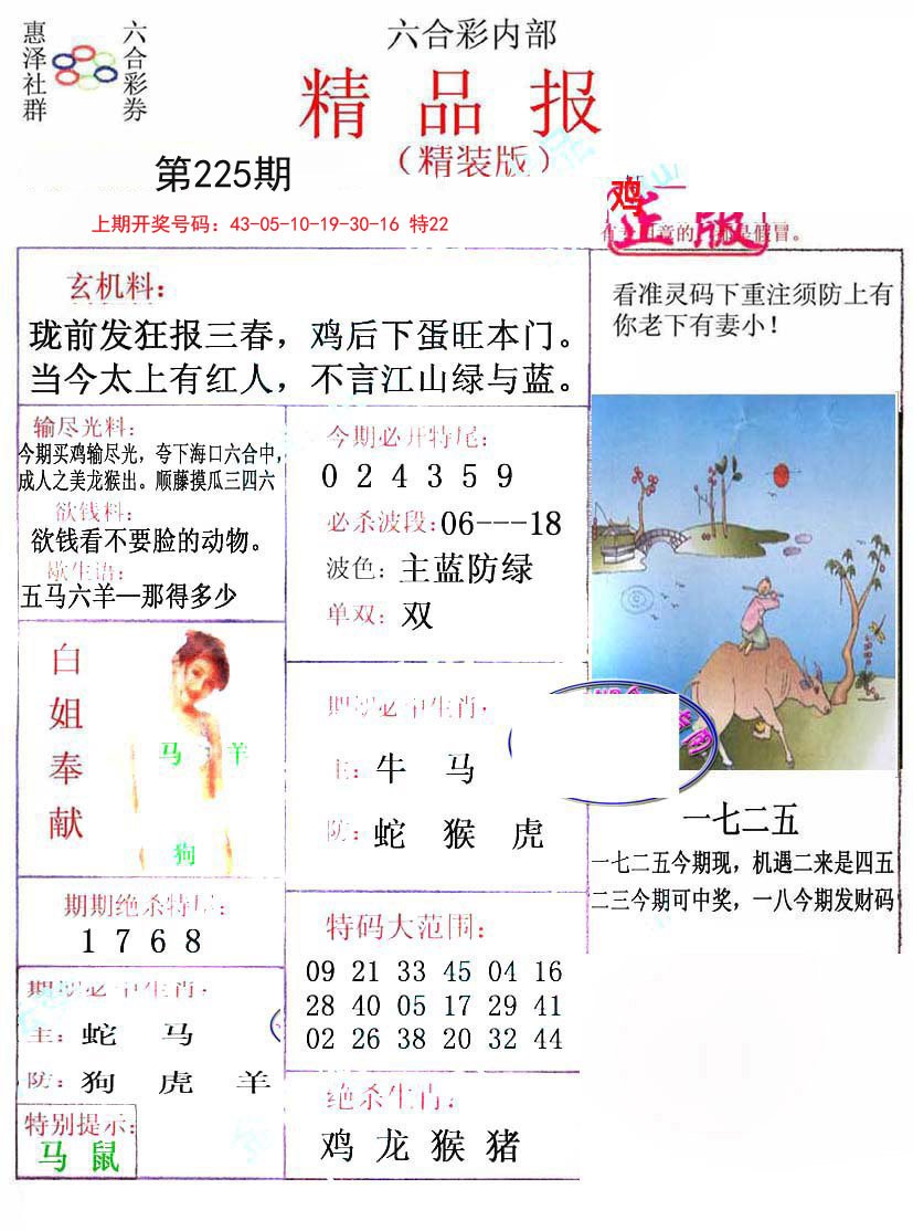 2024225期摇钱树