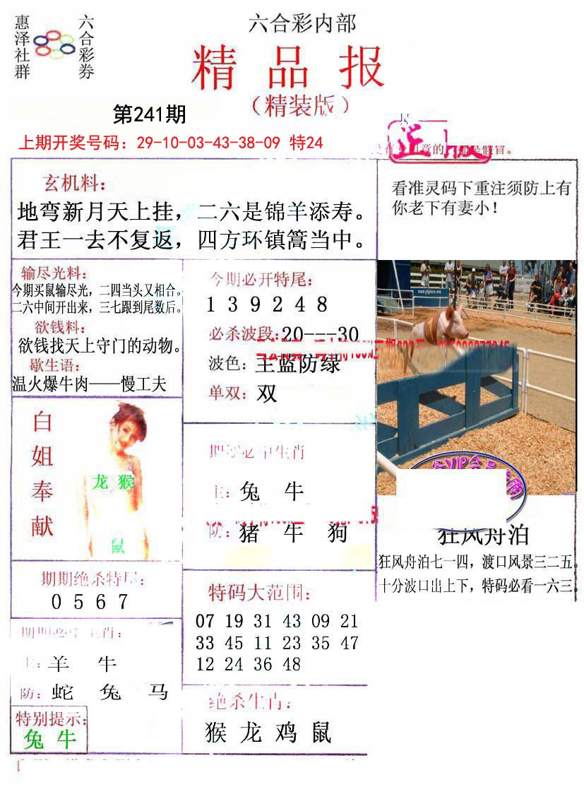 2024241期摇钱树