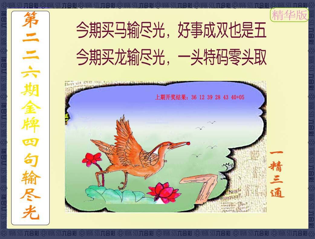 2024226期金牌四句输尽光